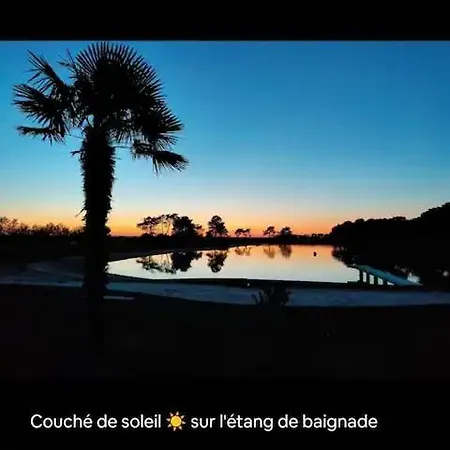 Cosy Coeur Bassin D'arcachon-mer-piscine Campsite Lanton